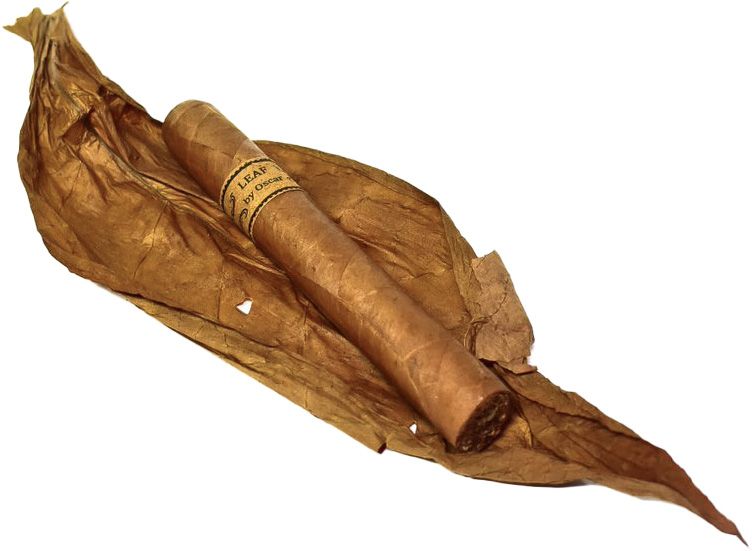 Leaf by Oscar Connecticut Robusto (pk/5)