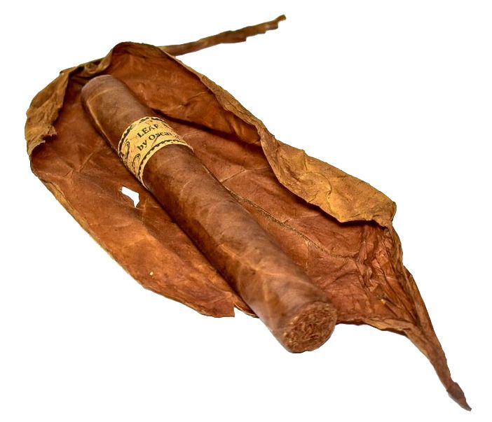Leaf by Oscar Corojo Robusto (pk/5)