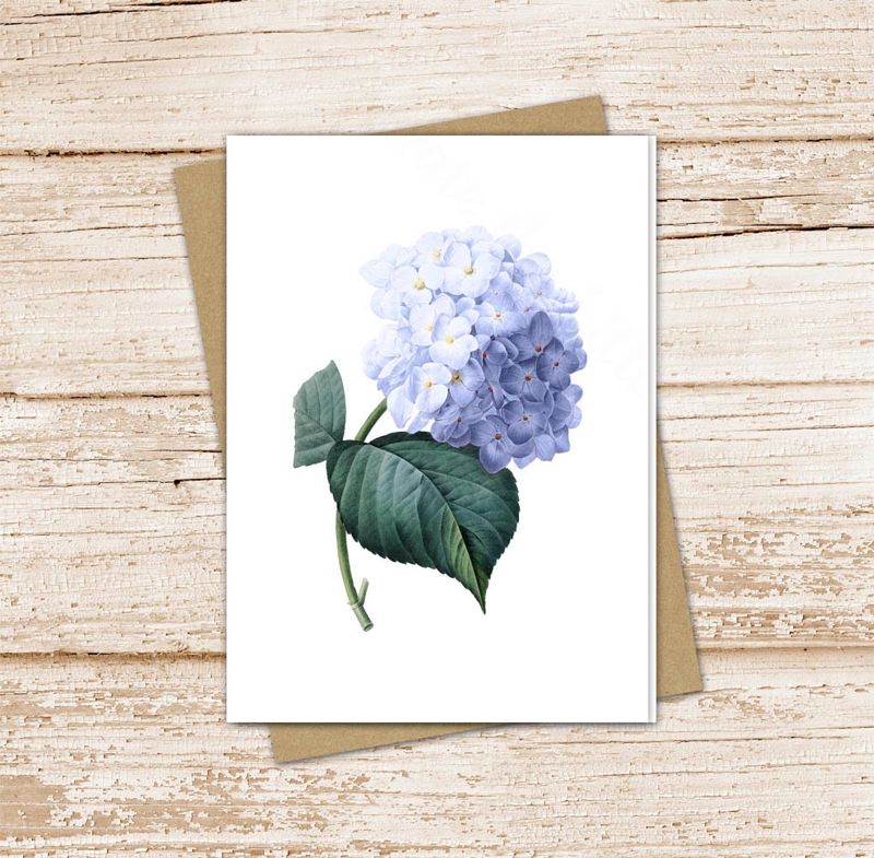 blue hydrangea card set .  watercolor flower note cards . floral botanical, nature . blank cards . notecards . folded stationery, stationary