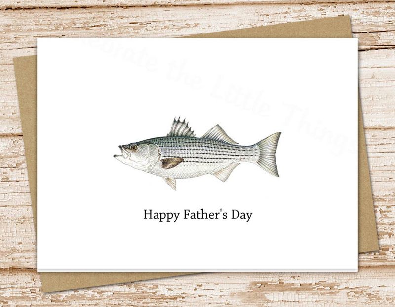 Father's Day card set . watercolor fish . striped bass  . fisherman, fishing . blank cards . folded stationery