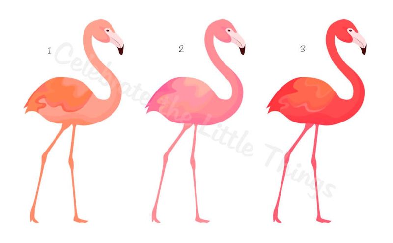 flamingo card set .  watercolor flamingo cards . blank note cards . tropical birds . notecards, folded stationery . stationary set