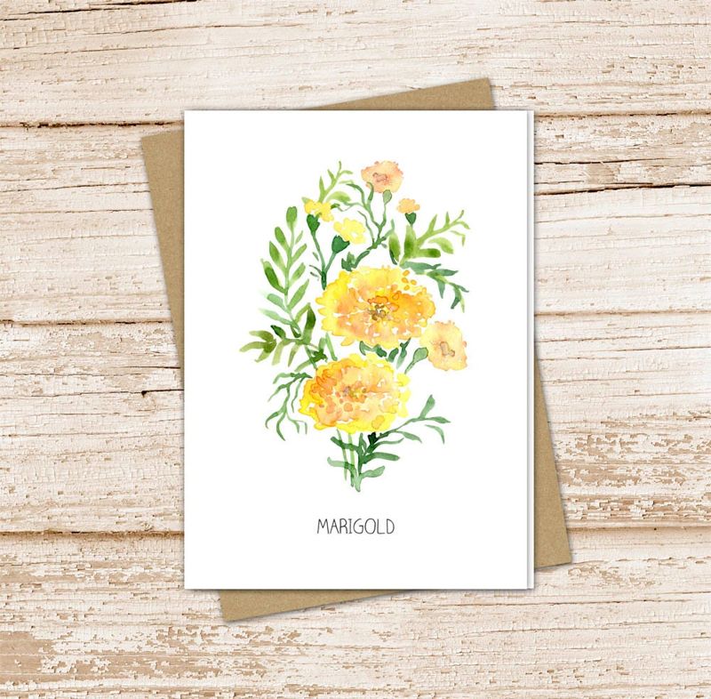 marigold card set .  watercolor flowers . october birth month . floral note cards . nature garden . blank cards, folded stationery