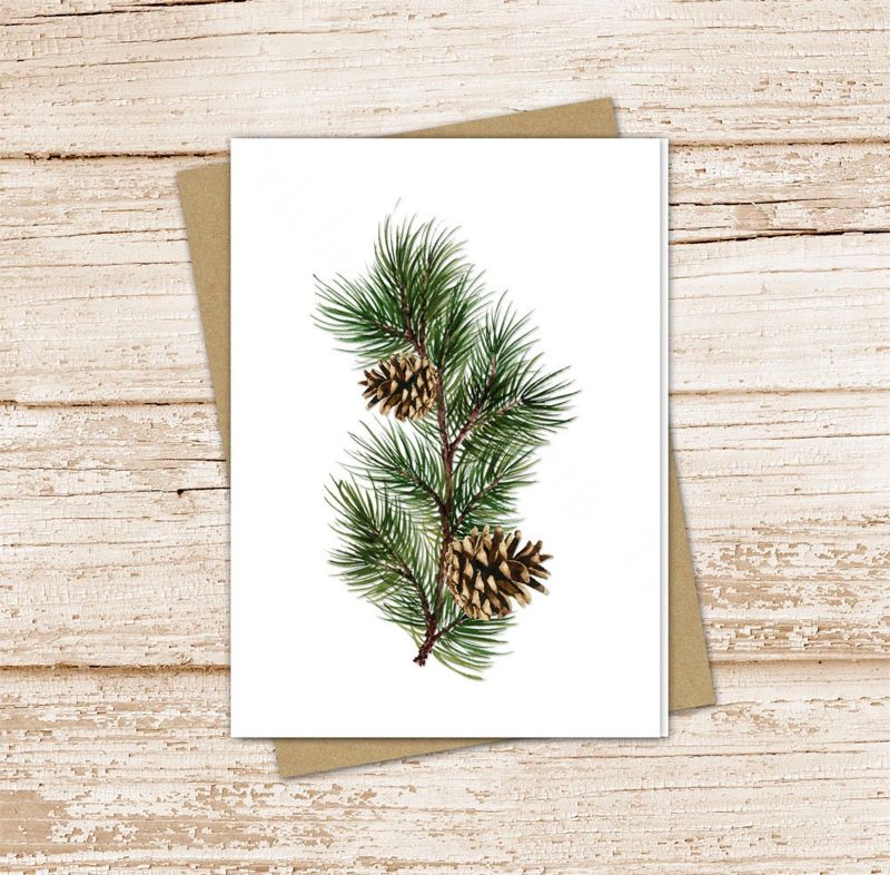 pine branch card set .  watercolor pine cones note cards . evergreen tree, outdoors, nature  blank  cards . folded stationery stationary set