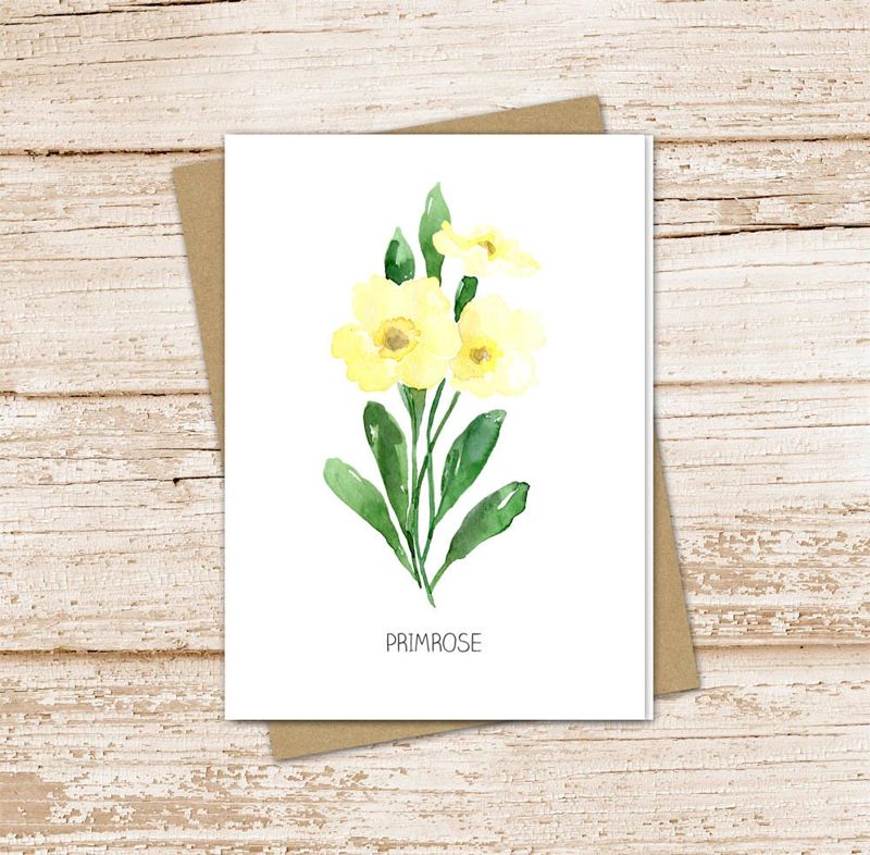 primrose card set .  watercolor flower . february birth month floral note cards . botanical nature garden . blank cards, folded stationery