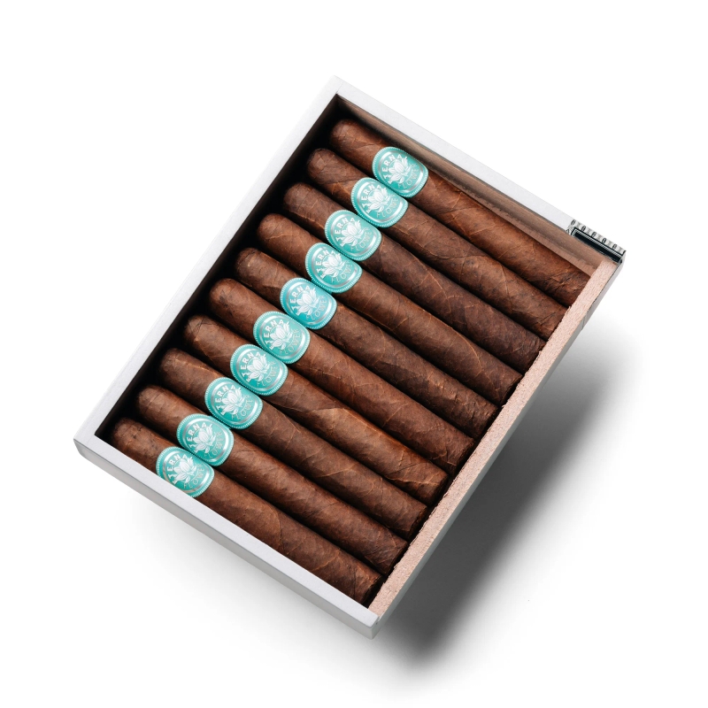 Eternal Flower (6 x 52 | 5-pack)