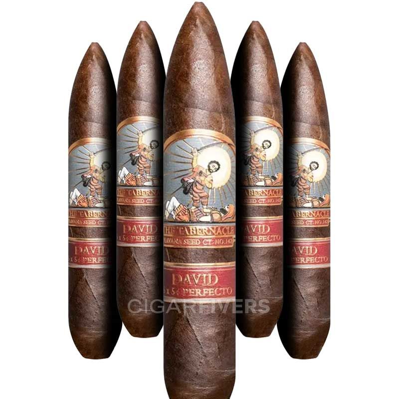 Foundation The Tabernacle Havana Seed CT #142 David (pk/5)