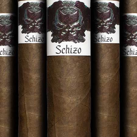 Asylum Schizo Double Toro (pk/5)