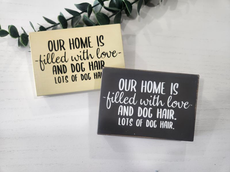 Our Home Is Filled With Dog Hair