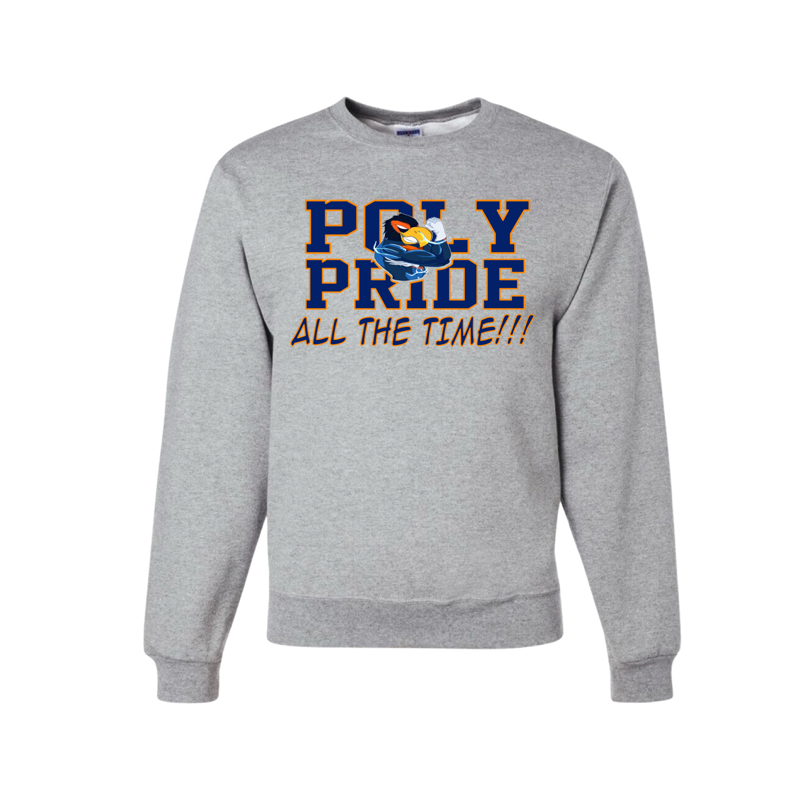 Grey Poly Pride  Sweatshirt