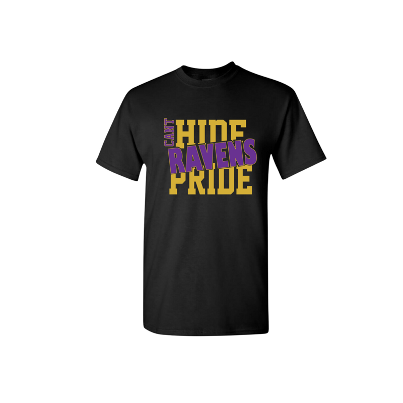 Cant Hide Ravens Pride Shirt 2