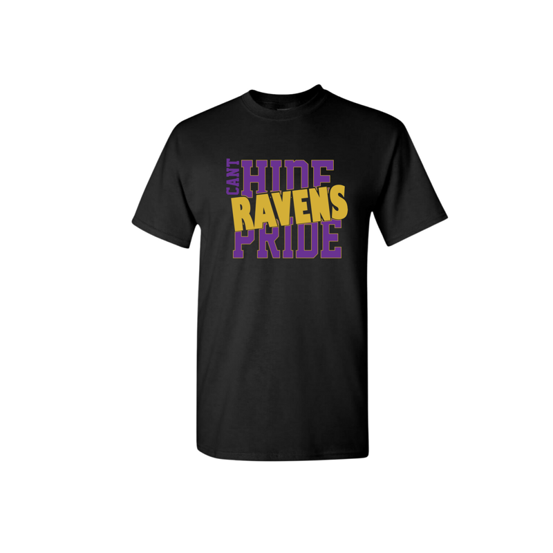 Cant Hide Ravens Pride Shirt