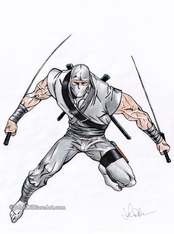 Storm Shadow Full Color Drawing Print (8.5" x 11")