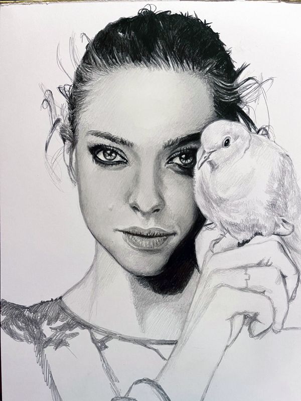 Amanda Seyfried Original Graphite Portrait Drawing  (NOT a print) 9x12