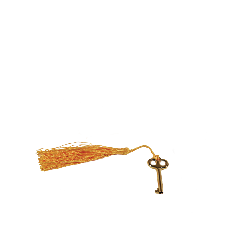 QUALITY IMPORTERS YELLOW TASSEL KEY Gold