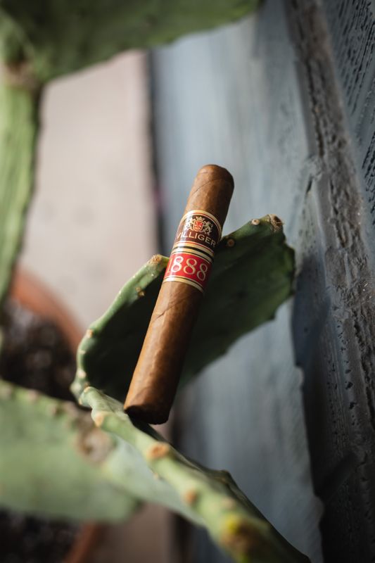 Villiger 1888 Dominican Republic Corona (bx/20)